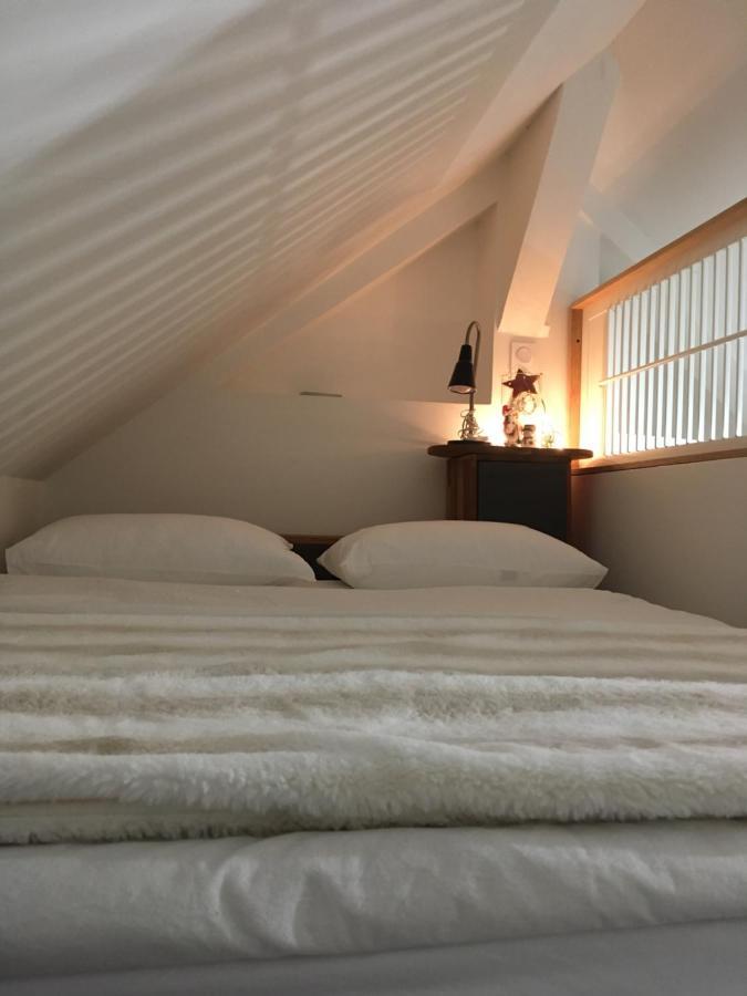 Logement Climatise Erdre Riviere 라차펠리쉬르에드리 외부 사진